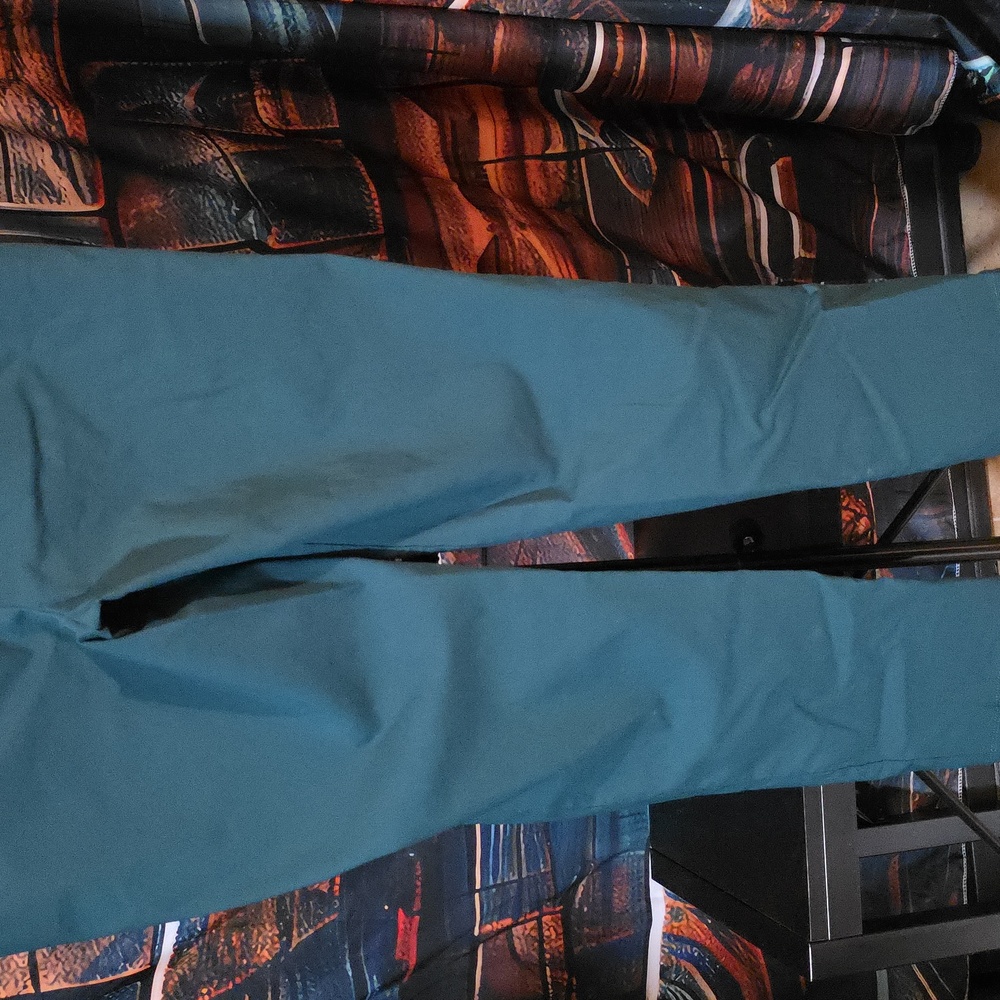 89th & Madison Deep Green Womens Pants Size Large (W490) - Picture 6 of 7